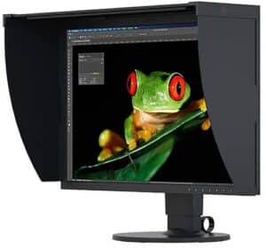 Eizo LCD-Monitor »ColorEdge CG2420«