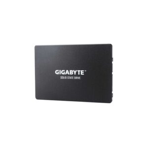 Gigabyte interne SSD »GP-GSTFS31100TNTD«