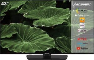 Hanseatic LED-Fernseher »43U800UDS«