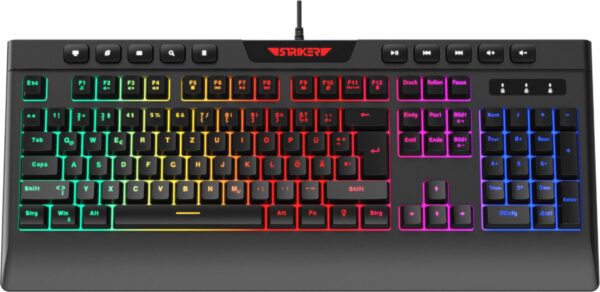 Hyrican Gaming-Tastatur »Striker ST-GKB8115 (Anti-Ghosting