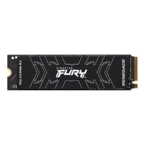 Kingston interne SSD »1000G FURY RENEGADE M.2 2280 NVMe SSD«