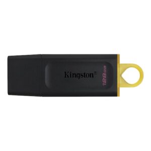 Kingston USB-Stick »Exodia«