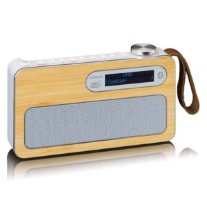 Lenco Digitalradio (DAB+) »Tragbares DAB+/ FM Radio mit BT«